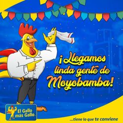 Catálogo El Gallo más Gallo 01.06.2023 - 21.06.2023