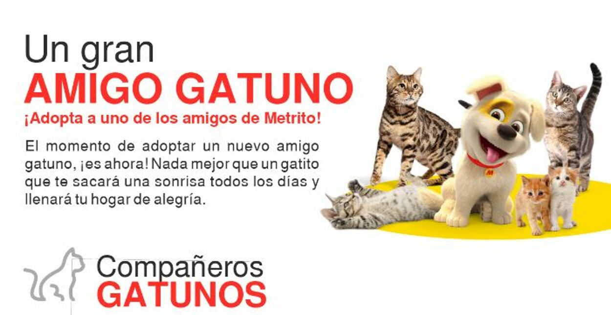 Catálogo Metro 13.06.2023 - 03.07.2023