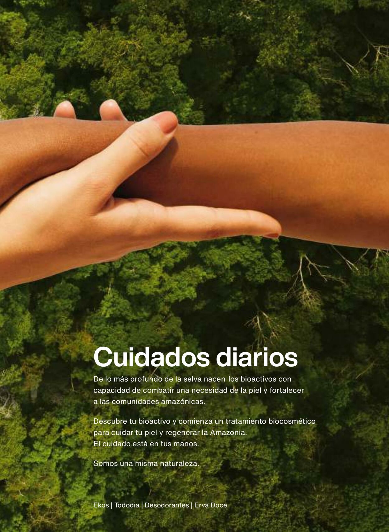 Catálogo Natura 01.08.2021 - 31.08.2021