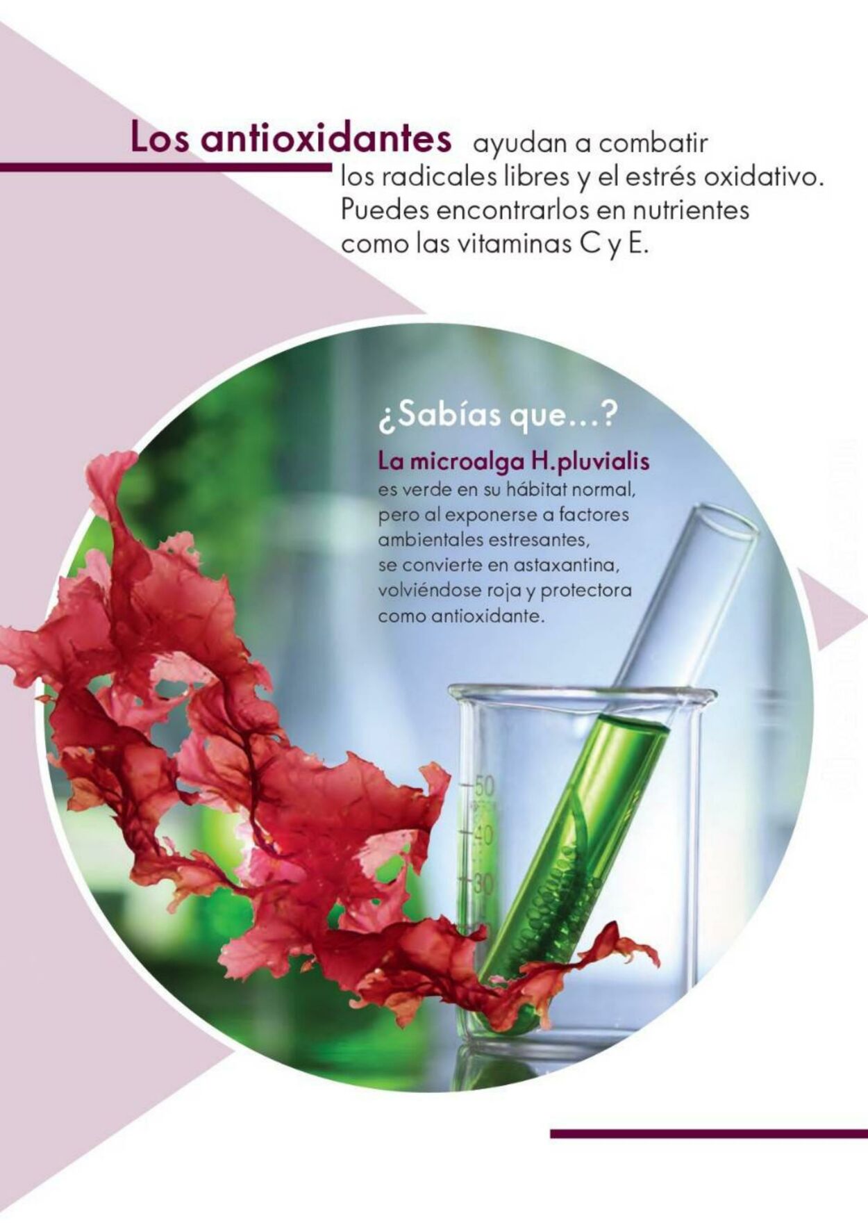 Catálogo Oriflame 13.05.2023 - 02.06.2023