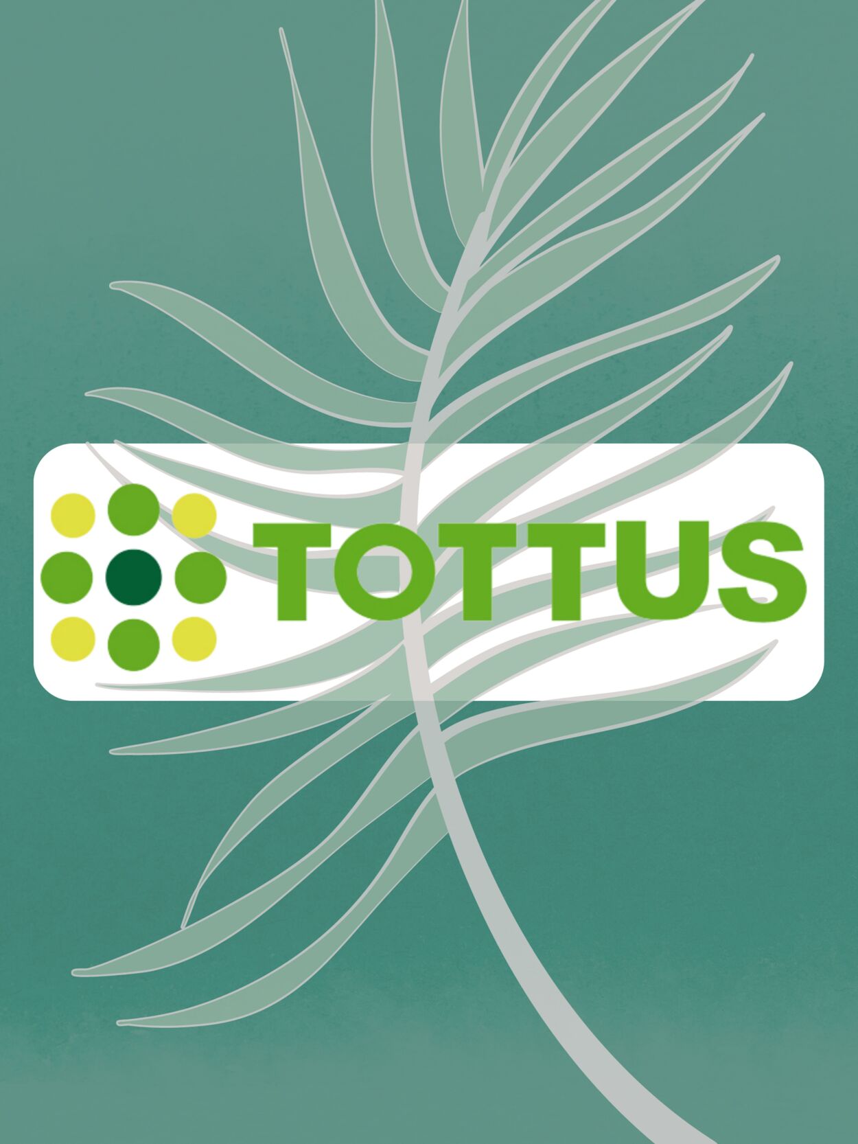 Catálogo Tottus 28.02.2023 - 06.03.2023